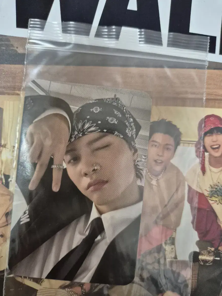 Johnny Piggyduck Photocard