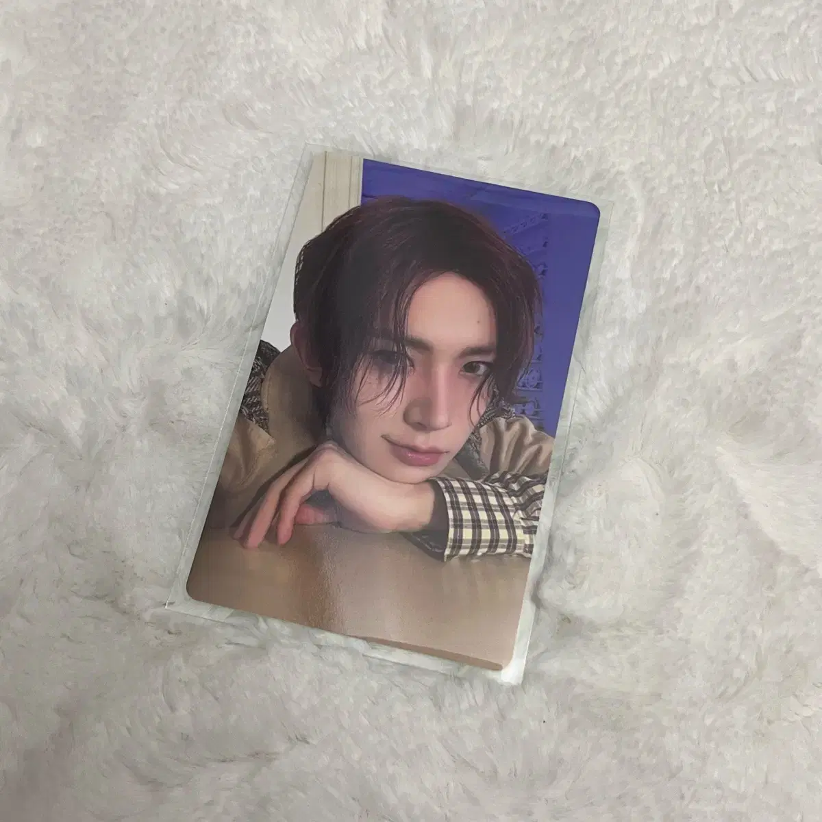 Enhypen heeseung jungwon Untold Darkblood bulk WTS