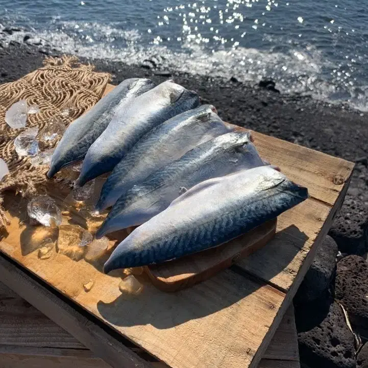 제주도에서 바다가 왔어요.갈치,고등어,통옥돔,통조기,셋트가 왔어요.구경들