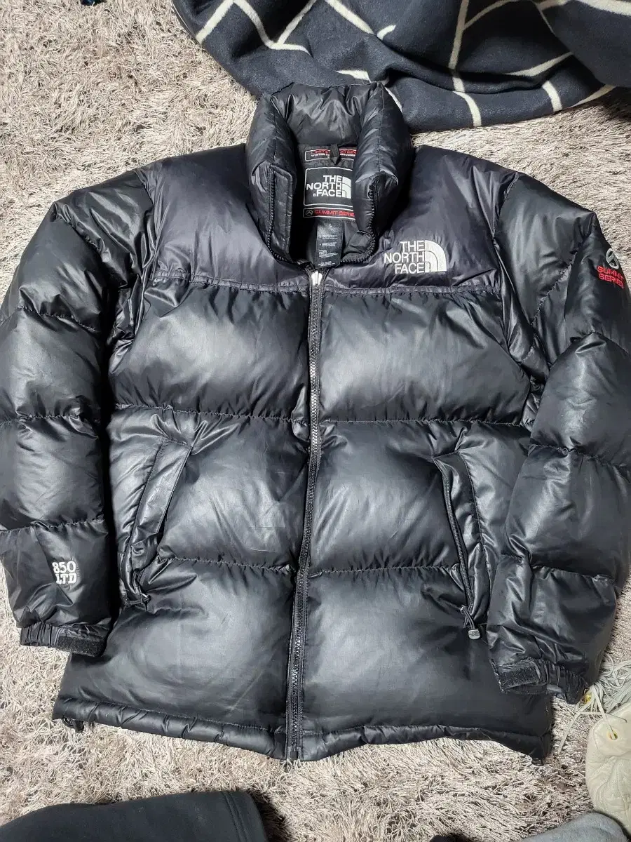 The North Face 850 LTD Down Padding