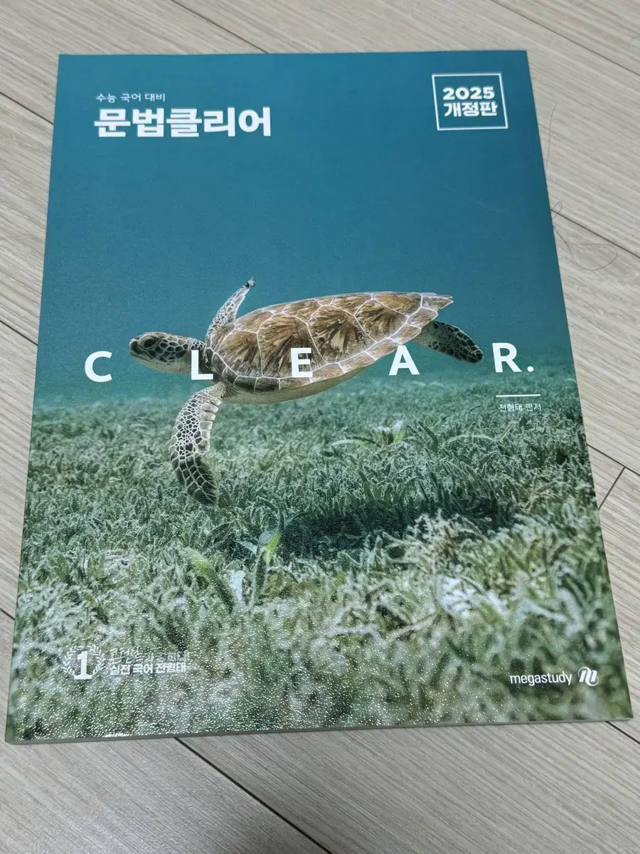 전형태t 언매 문법클리어