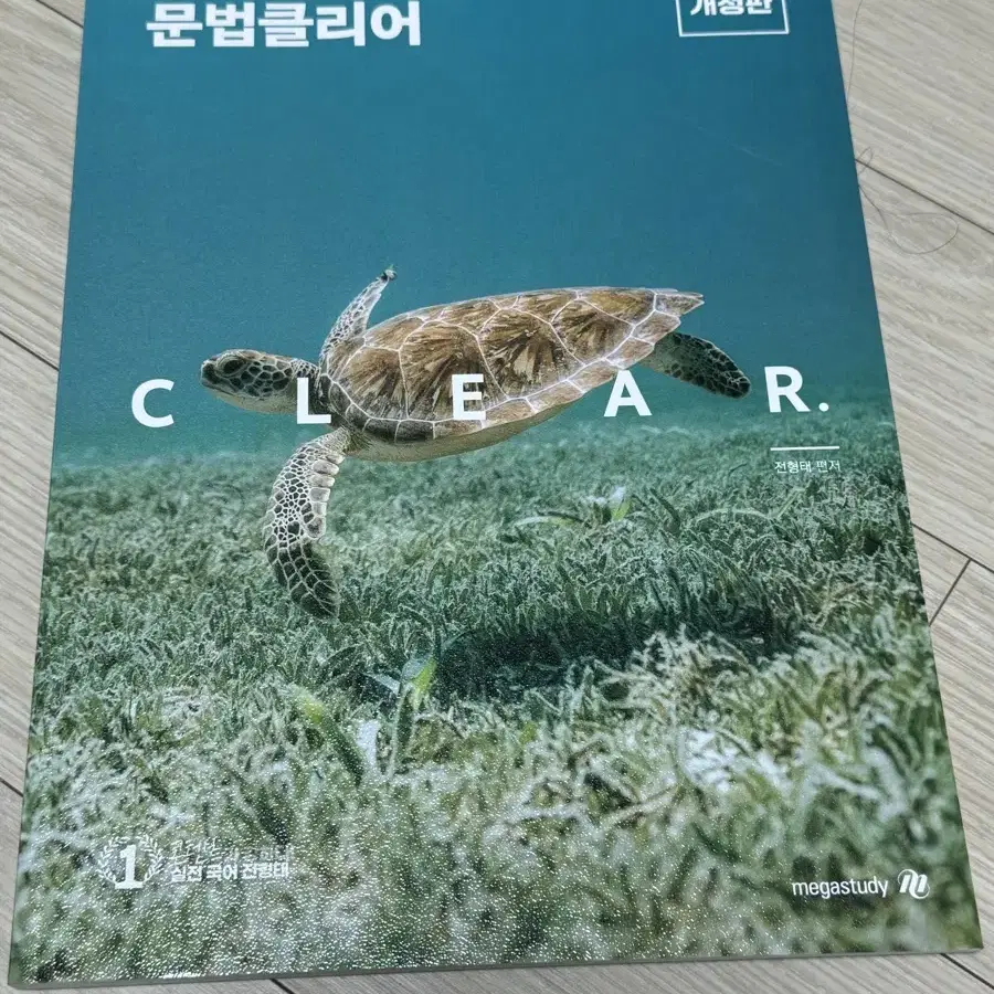 전형태t 언매 문법클리어