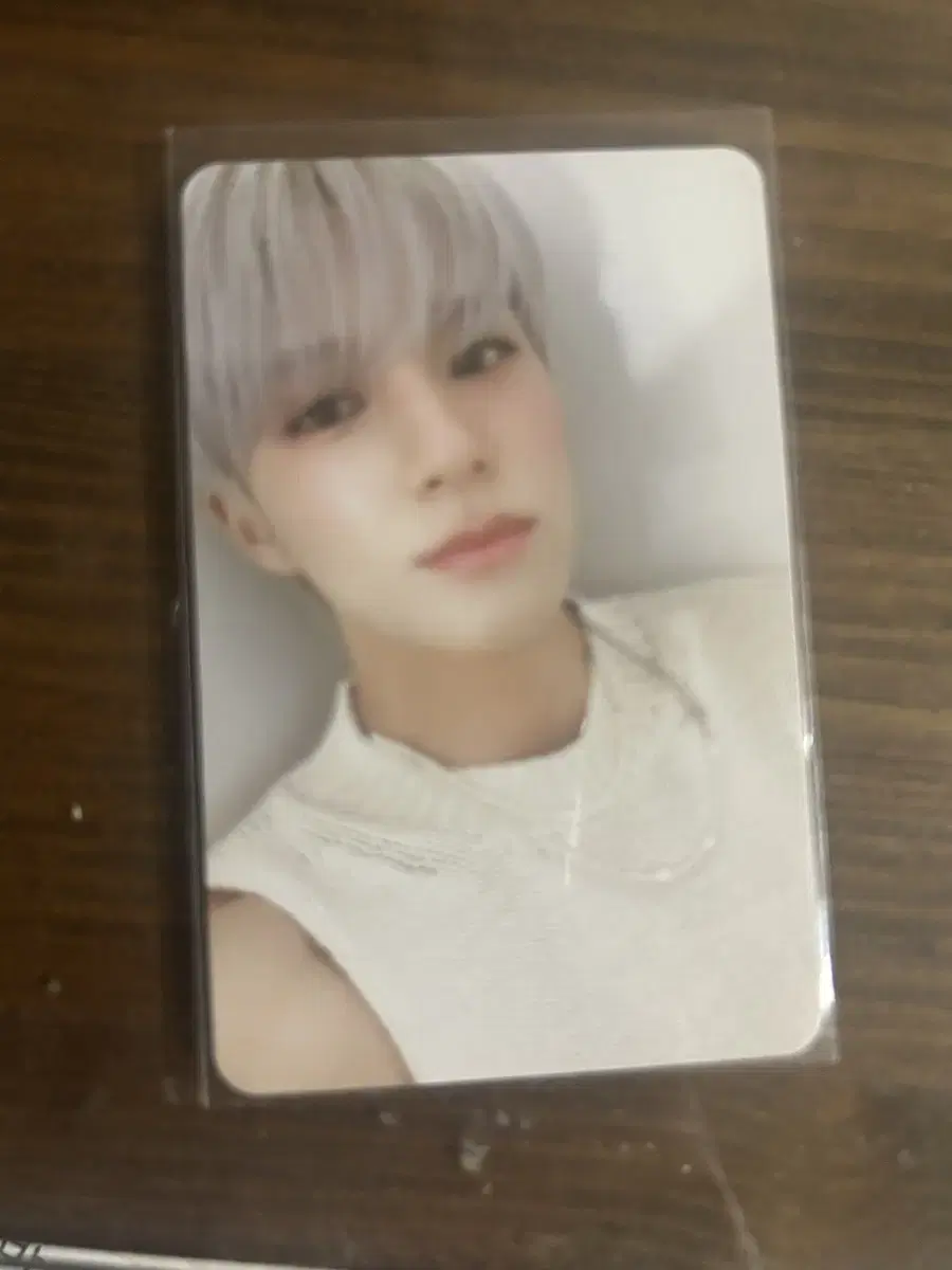 NCT Dream 2024 season's greetings jeno