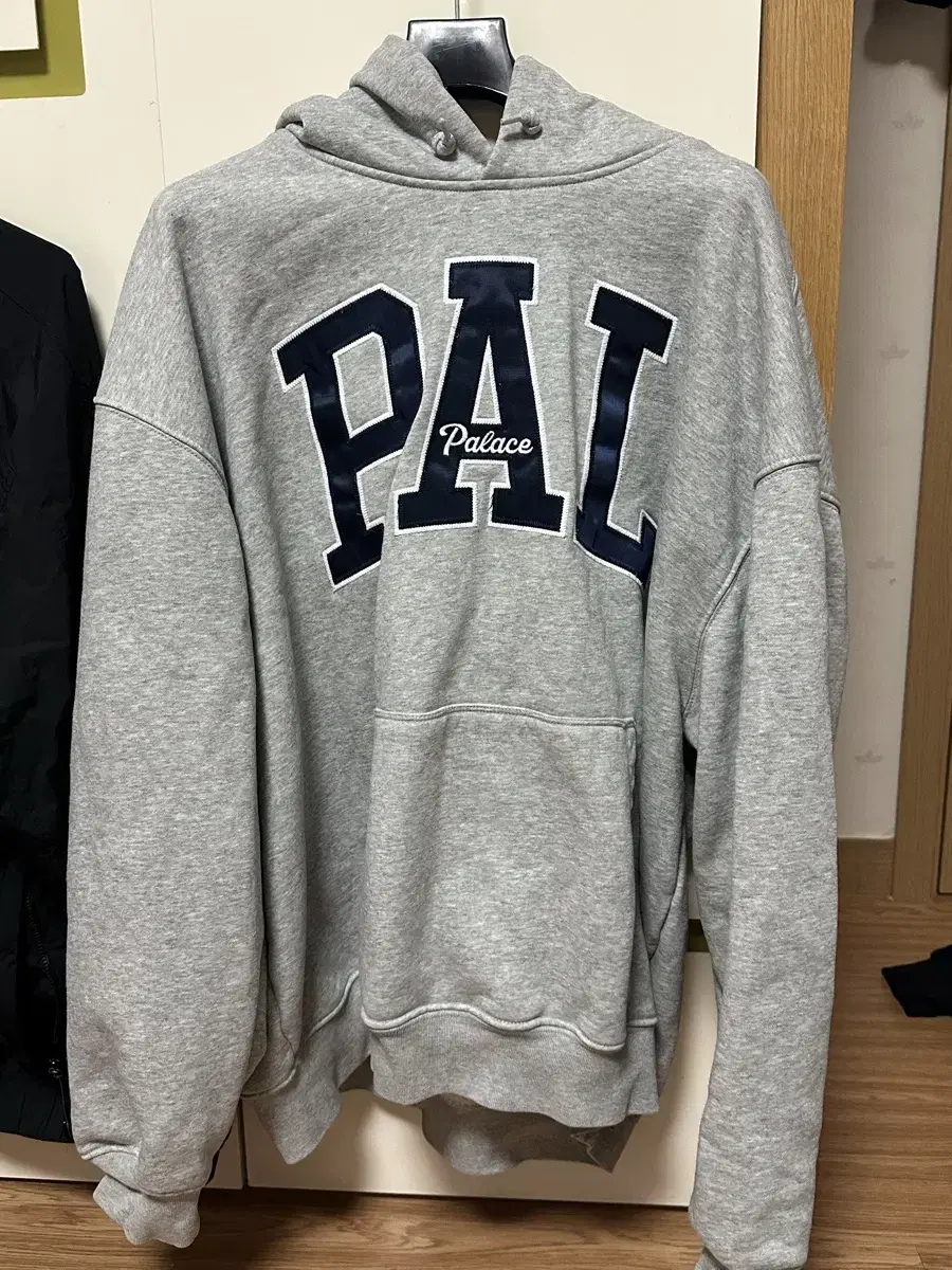 Pallas x GAP Hoodie Gray