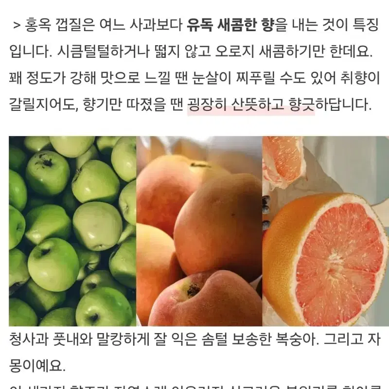 텐 라스트 페이지향수