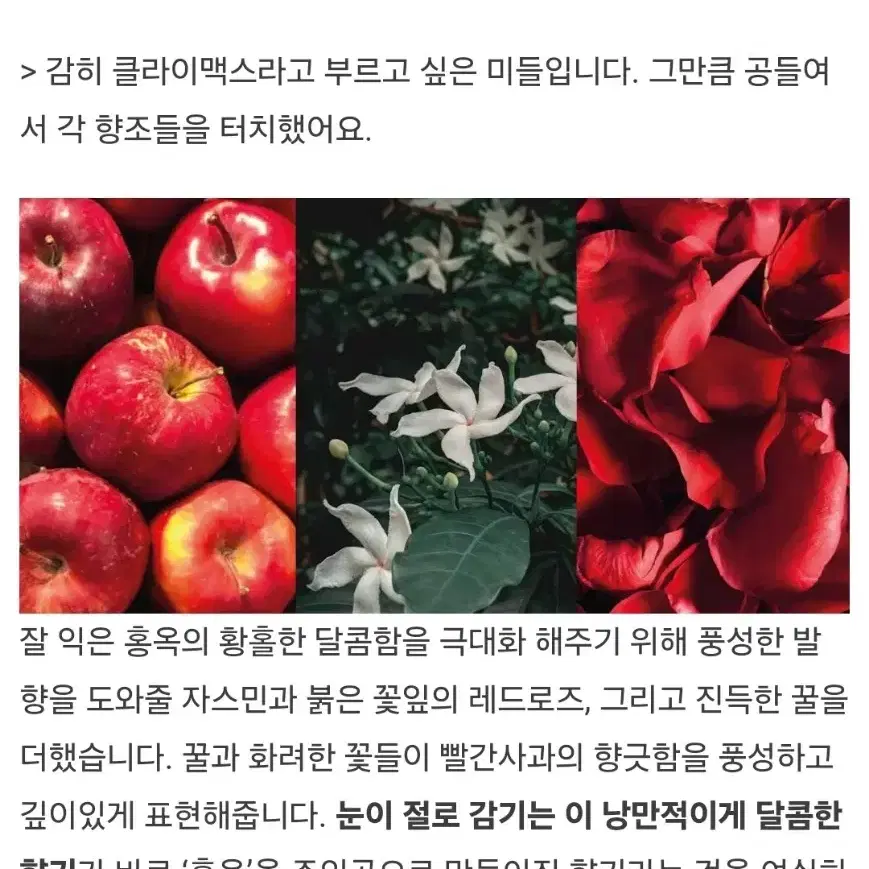 텐 라스트 페이지향수