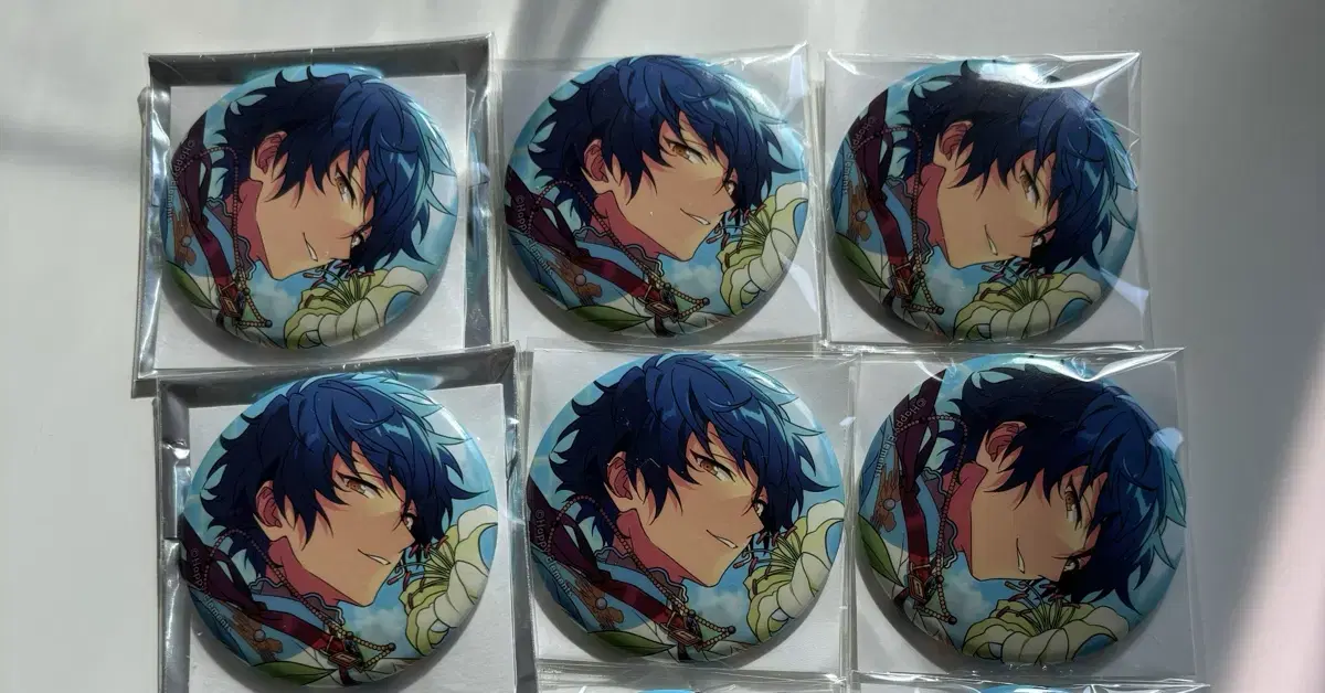 Anstar Eden Sazanami Jun Can Badge Wedding 6pcs