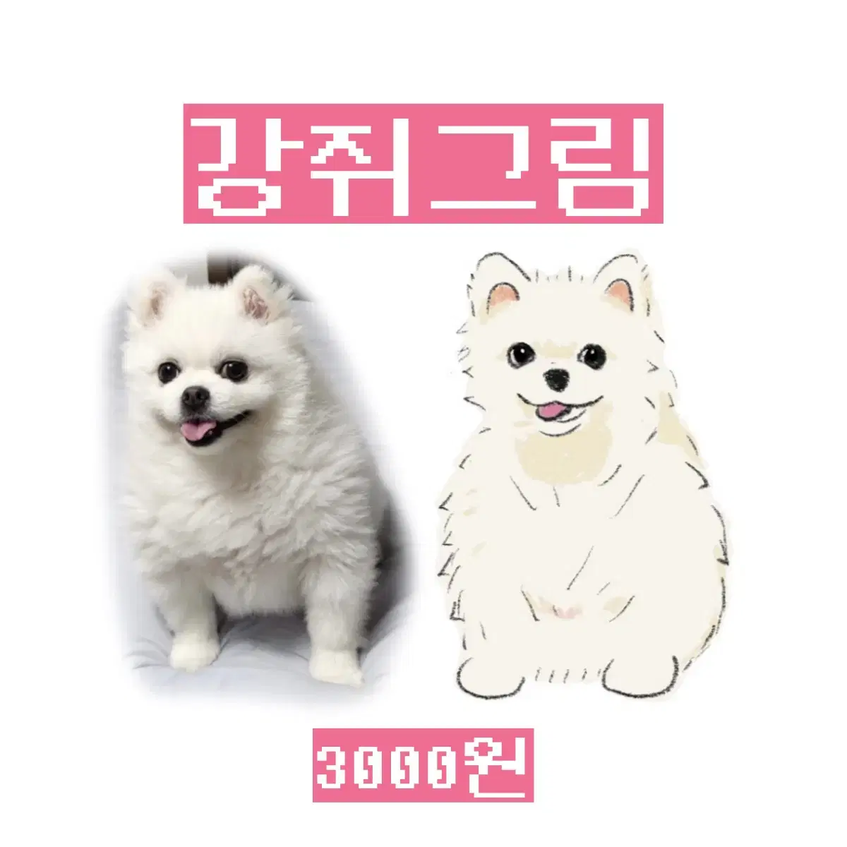 강아지 고양이 그림커미션) 3000원 급전!!