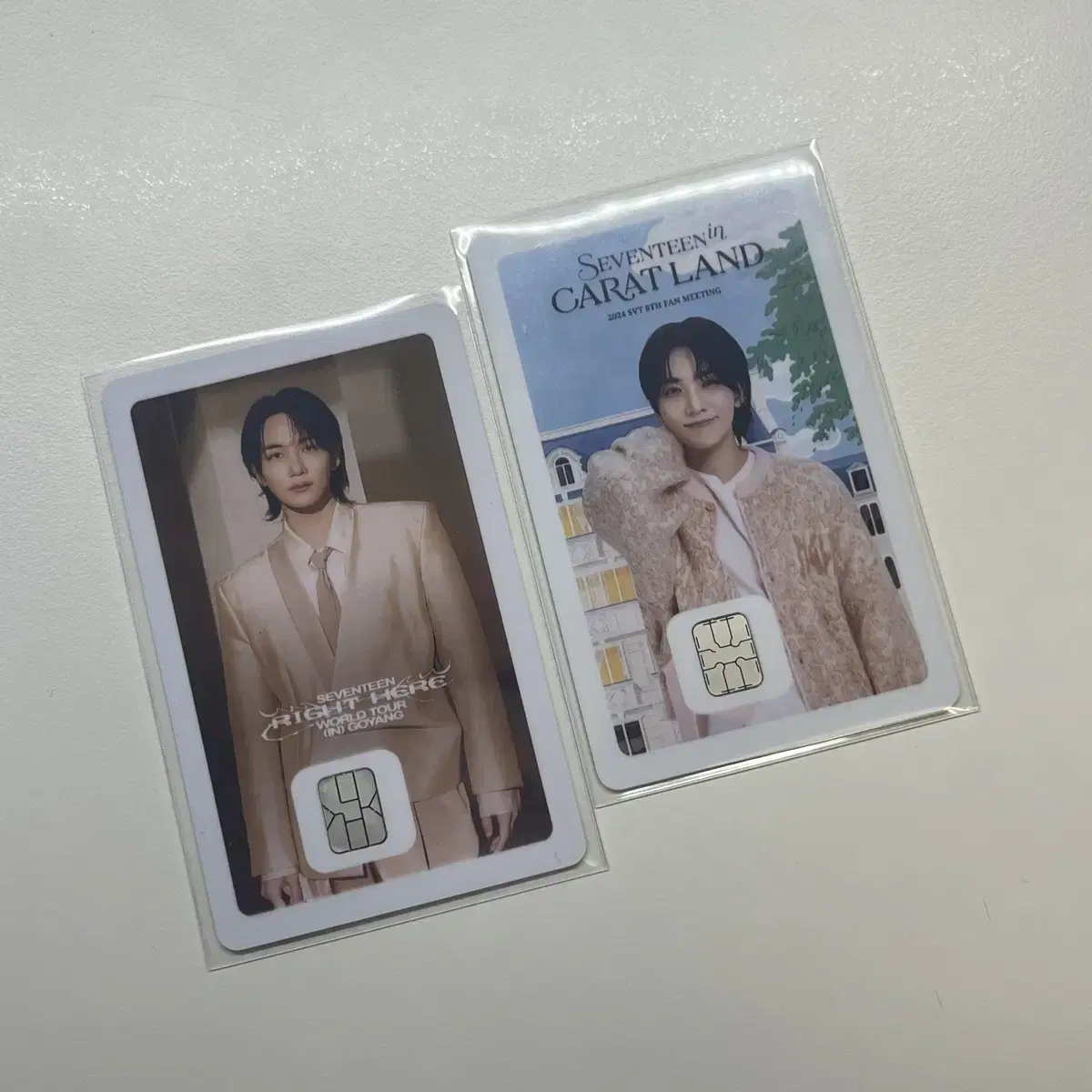 Seventeen yoon jeonghan namanekard katakon caratland wts