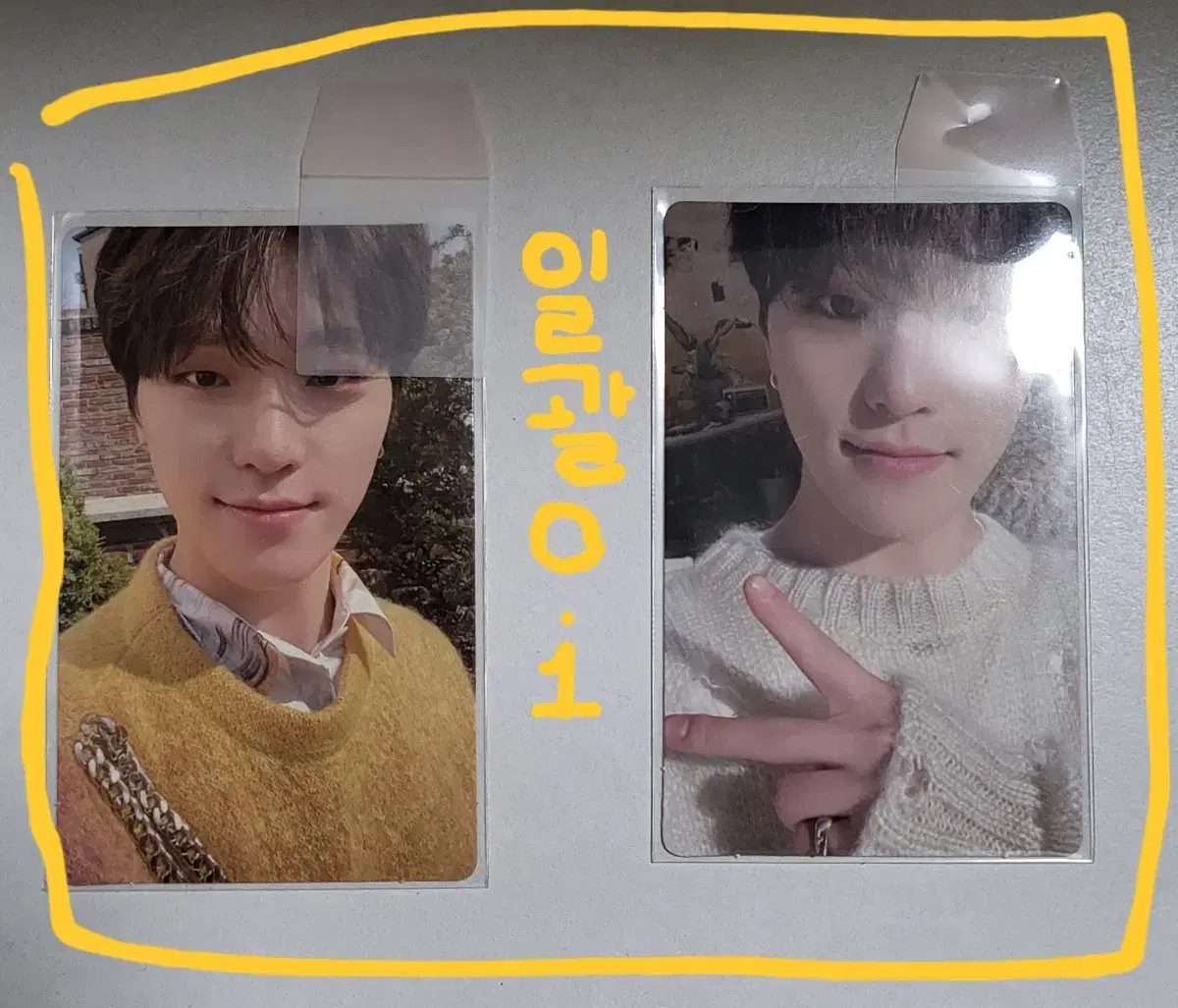 Face the sunDino photocard bulk 0.1