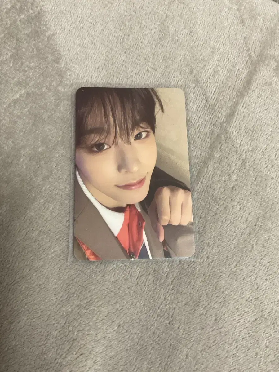 Riku Songbird Photocard