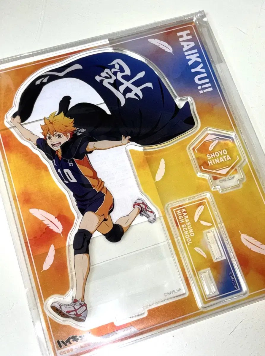 Haikyuu pop up hinata Banner acrylic unsealed