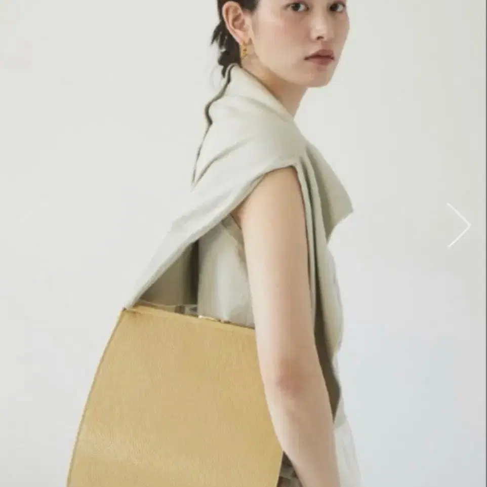 얼바닉30 클래스프백 Brass Clasp Bag(Lizard)