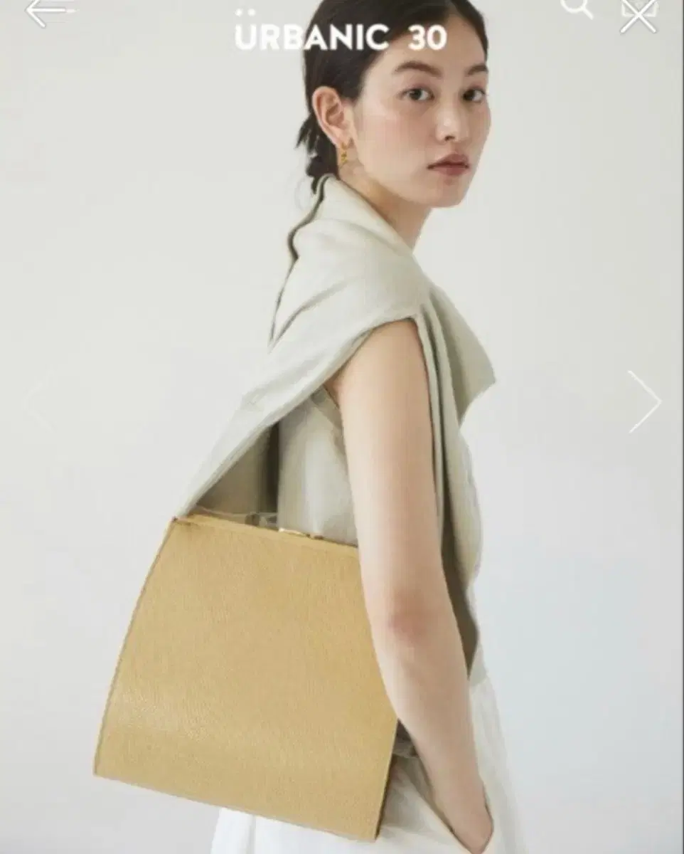 얼바닉30 클래스프백 Brass Clasp Bag(Lizard)