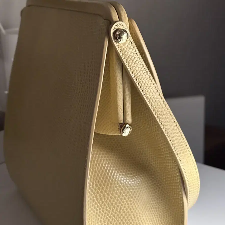 얼바닉30 클래스프백 Brass Clasp Bag(Lizard)