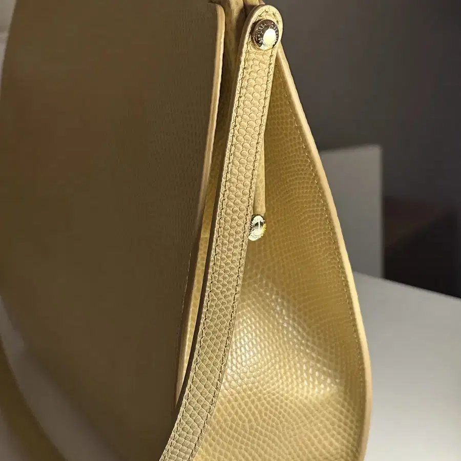 얼바닉30 클래스프백 Brass Clasp Bag(Lizard)