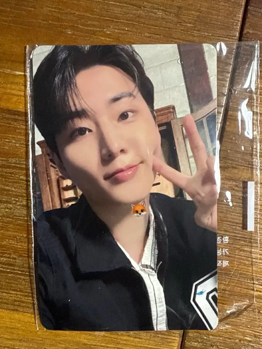 Young K Ballcock Photocard