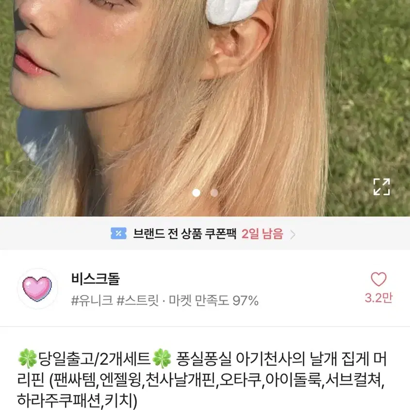 날개 윙 헤어삔