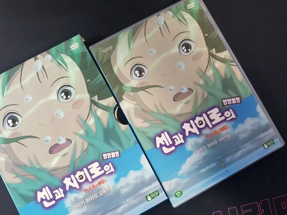 (DVD) 센과 치히로의 행방불명