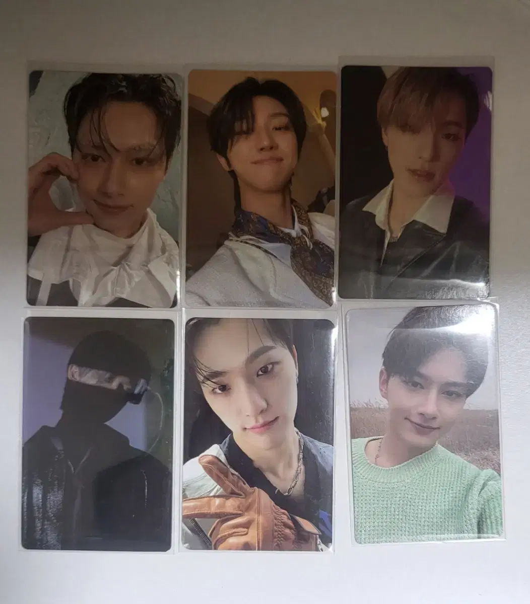 dino,d8,jun photocard bulk