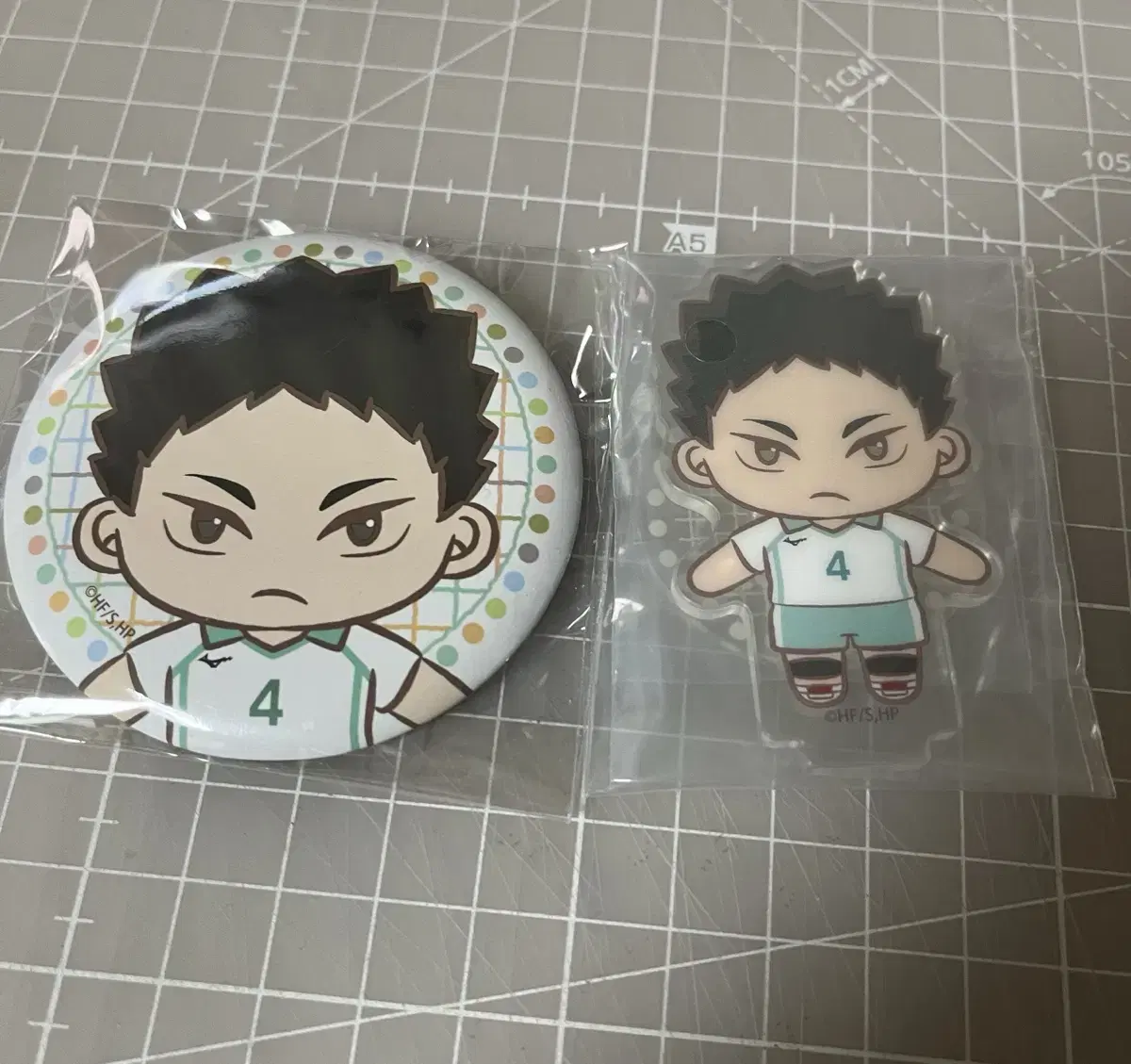 Haikyuu Segakuji Iwaizumi Goods bulk WTS