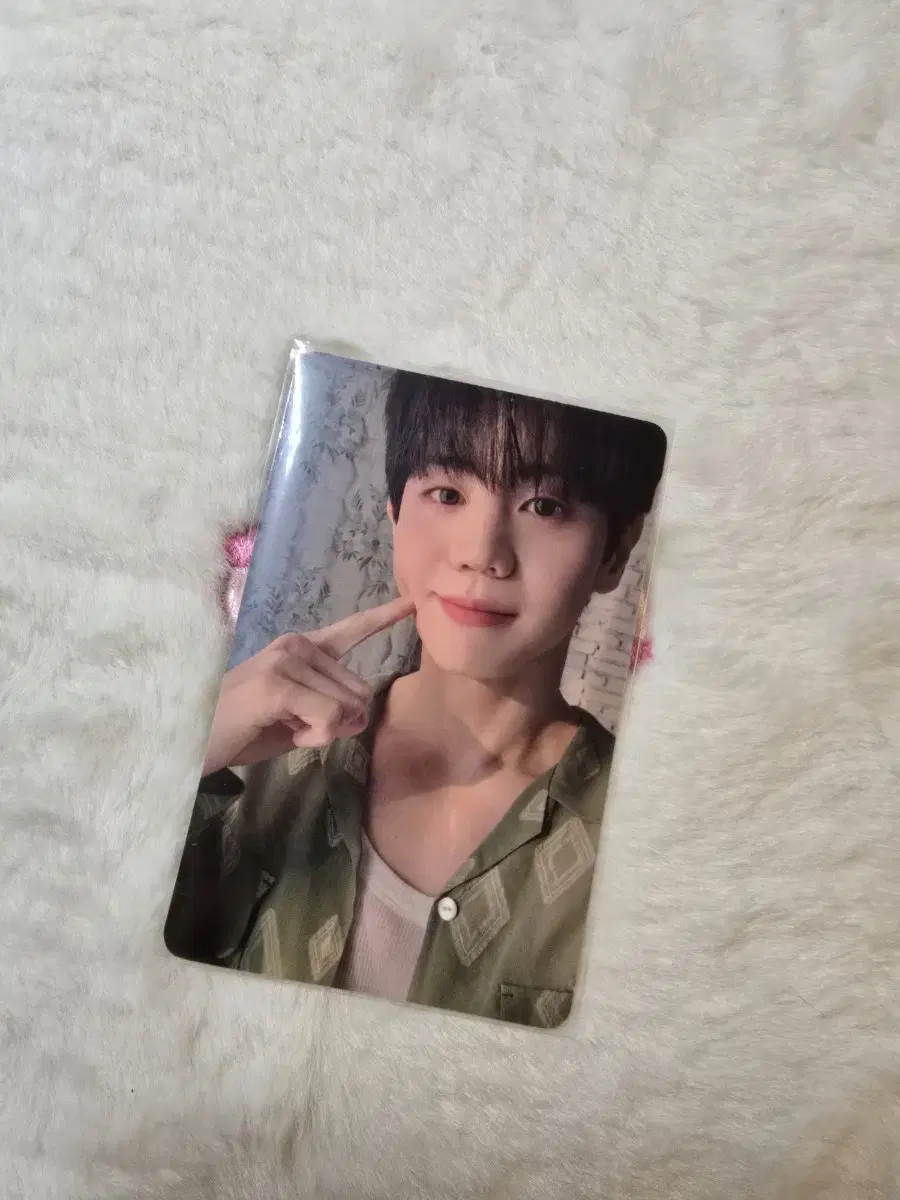 Yang Yoseob Dey Dream Ballcock Photocard