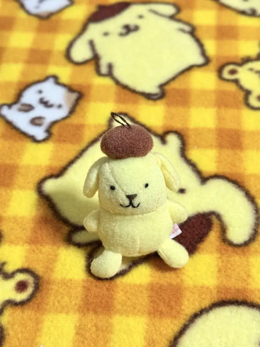 [until this month] Pom Pom Purin Classic Poop Purin is sold