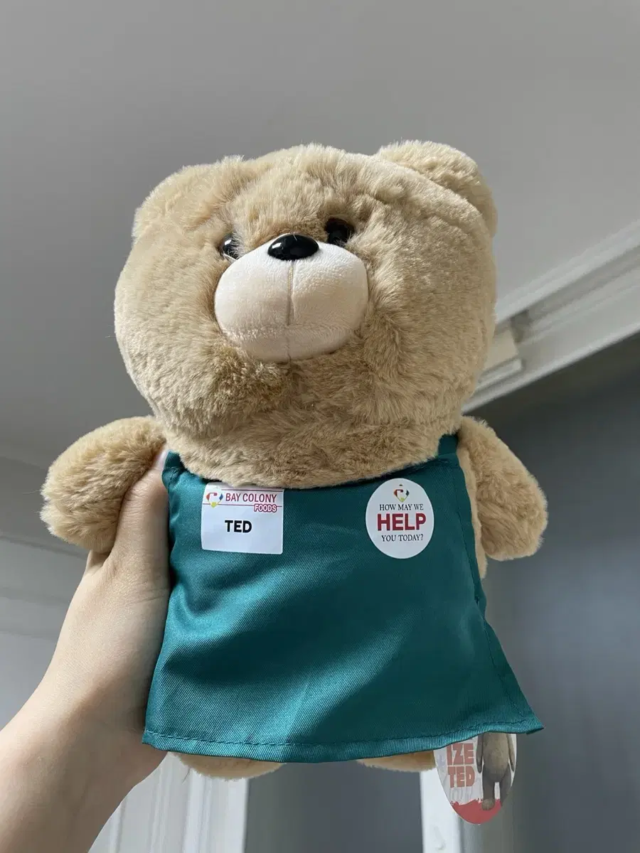 (New, plastic packaging) 19 teddy bear dolls