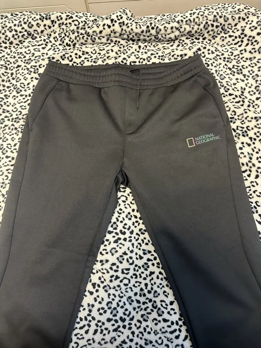 National Geographic Brushed Jogger Pants New Arrivals