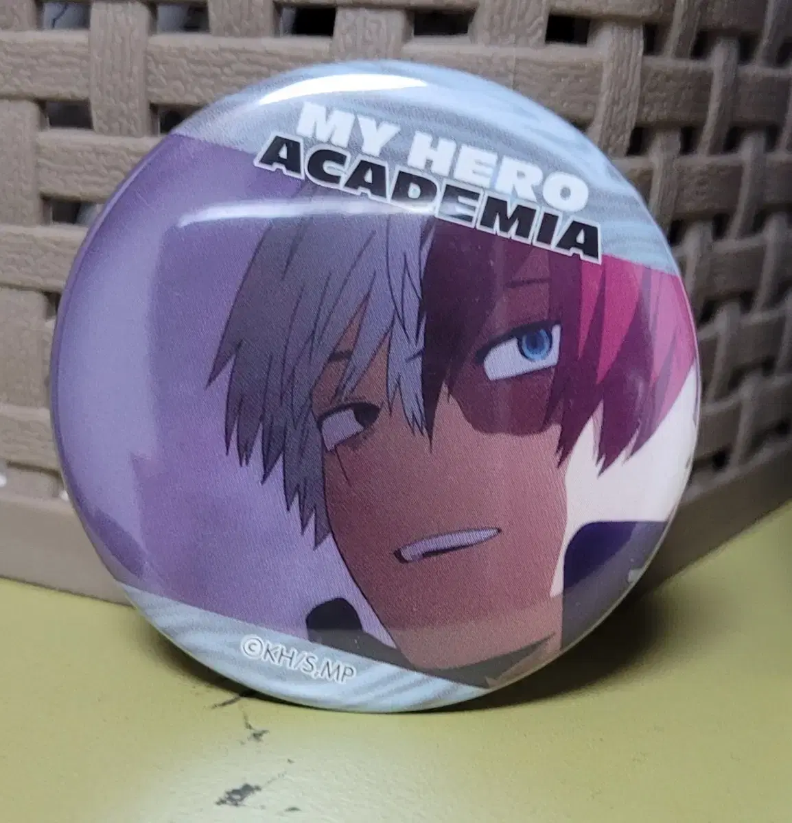 Hiroaka Todoroki Shoto Canbadge