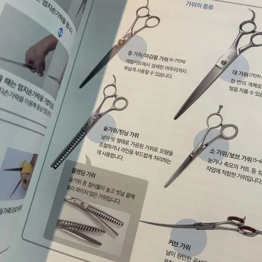 트리머를 위한 베이직 테크닉