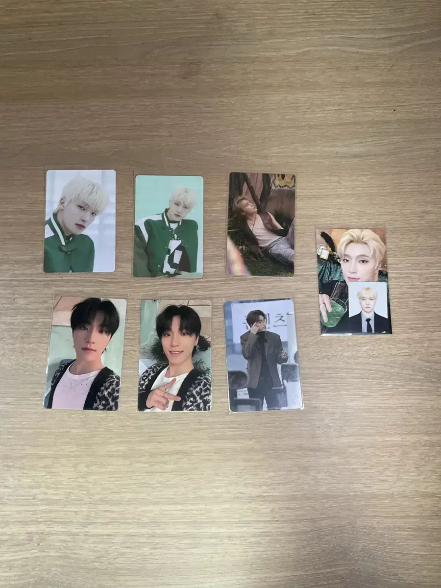 dino photocard bulk wts