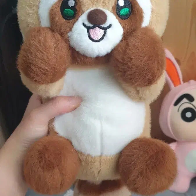 까꿍 너구리인형 M 25cm