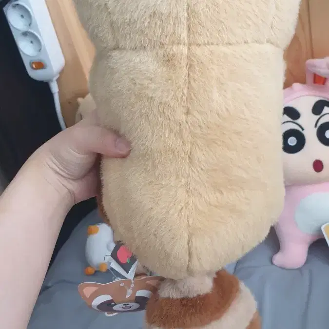 까꿍 너구리인형 M 25cm