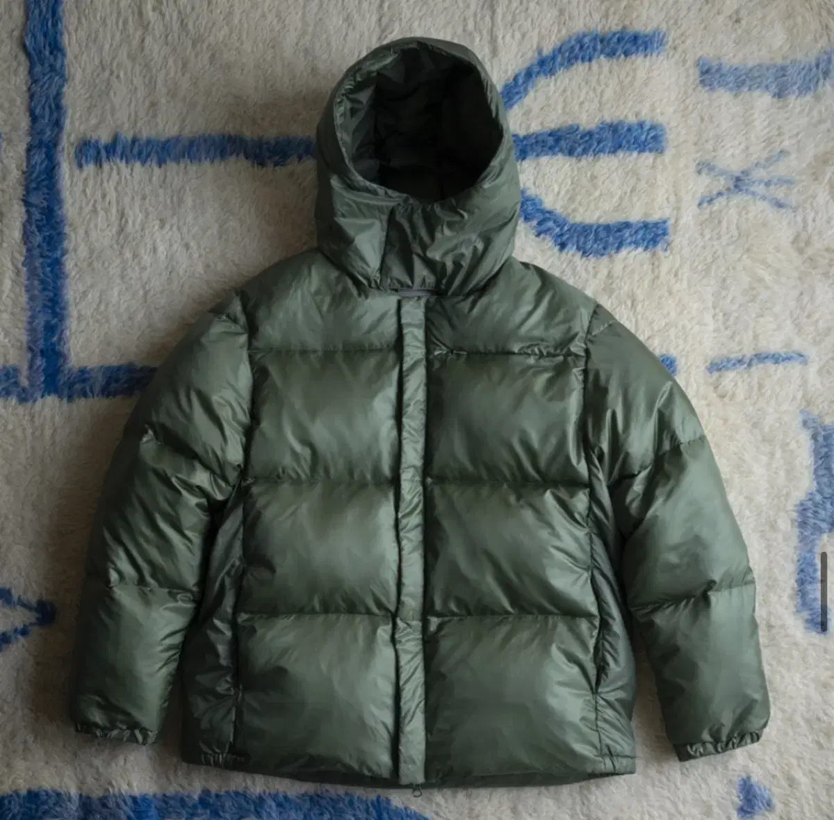 Japan Descent Puffer Down Jacket Padded in Vintage Green