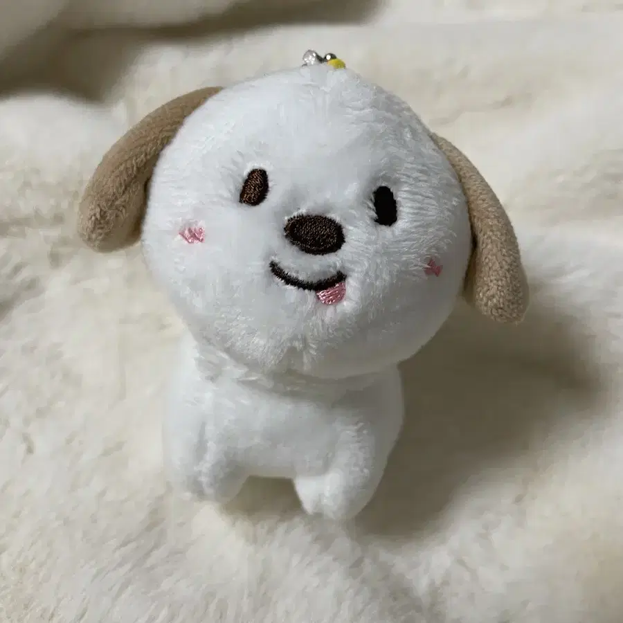 라이즈 앤톤 멍룡이 10cm 인형 판매합니다 (원가)