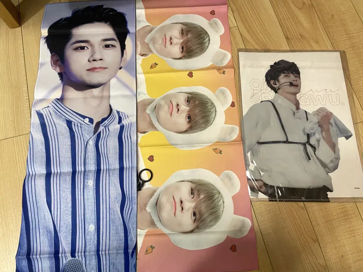 seongwu seongwu slogan,파일함 wts(완전새거)