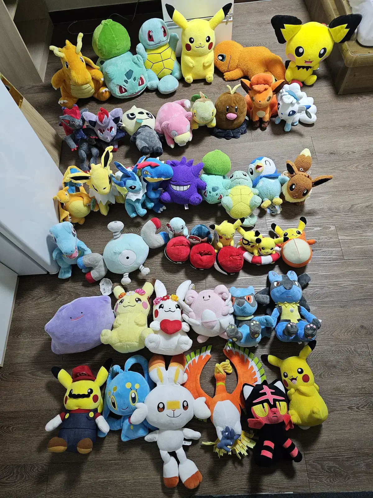 Pokémon dolls, including Charizard, Zoroa, Shamid, Goombunny, Rior, Nyarlathotep, and more.