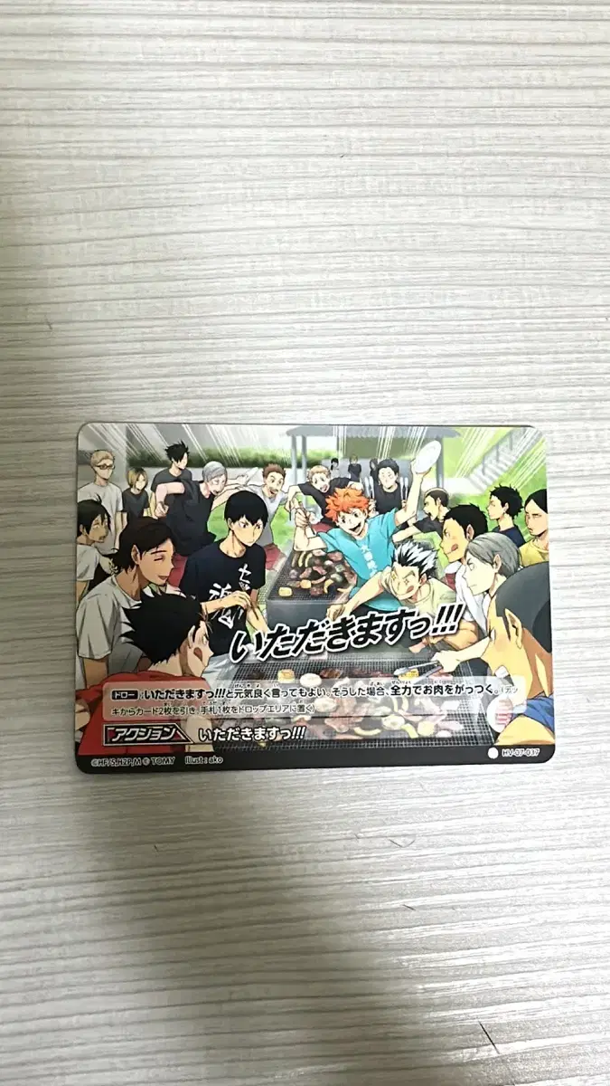 Haikyuu Barbaka Japanese Edition Summer Training hinata Bokuto Kageyama