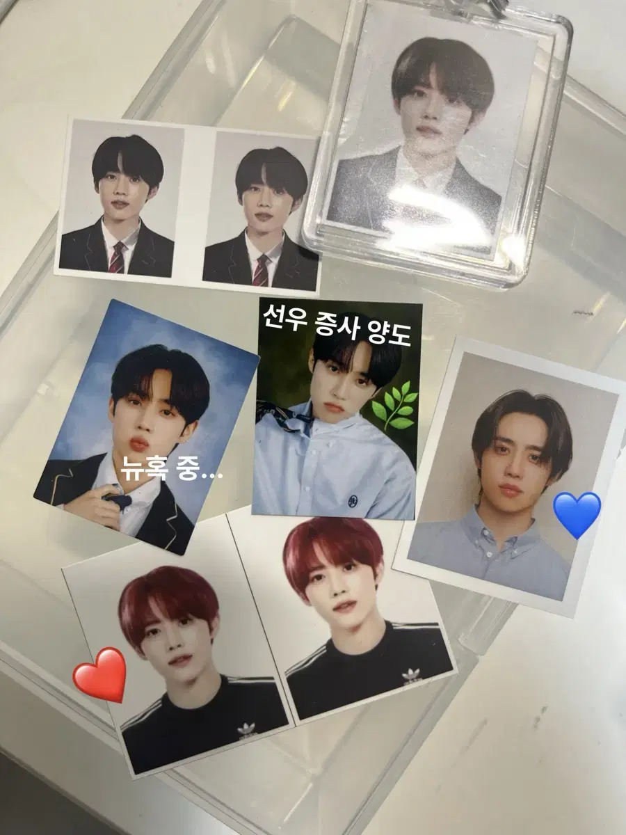 The Boyz sunwoo Proofs bulk wts kim sunwoo Proofs