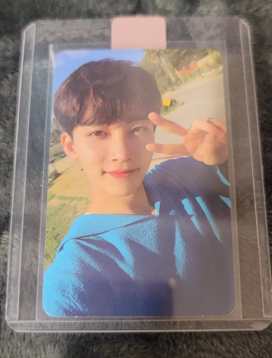 Seventeen jeonghan photocard wts rinse rae dul alfo