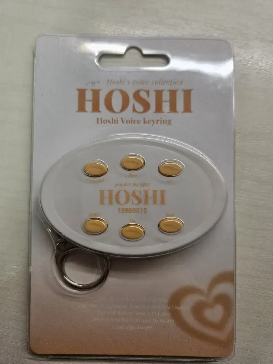 Hoshi voice keyring for sale!