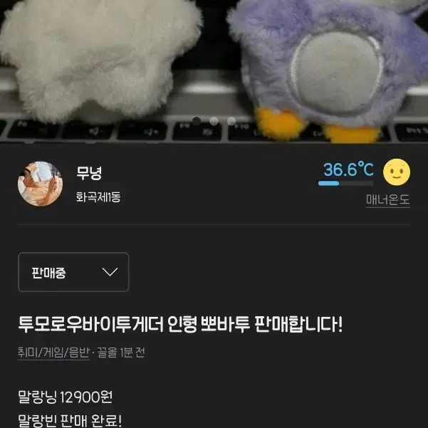 뽀바투 말랑닝 판매합니다!