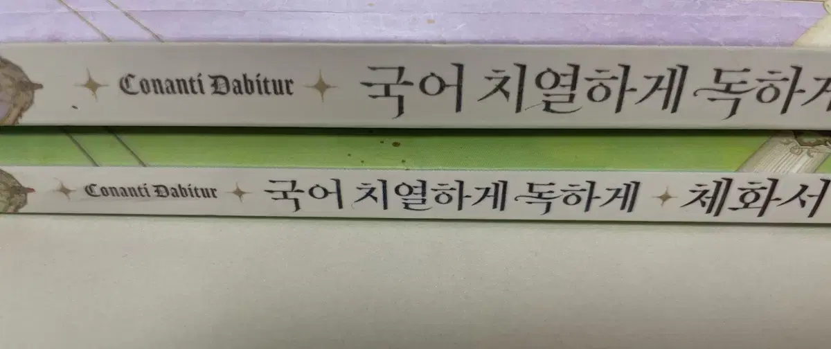 치열하게 독하게 (체화서 포함)