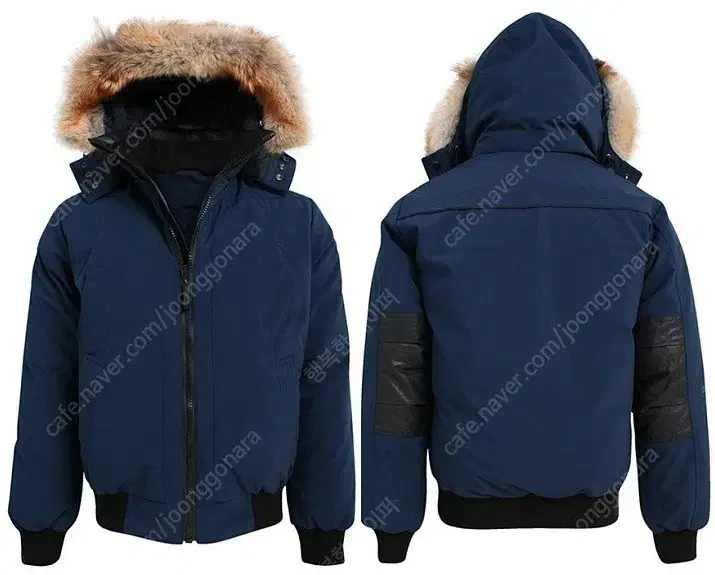 Canada CMFR Oxton Men's Coyote Fur Short Padded Bomber Jacket Navy XS