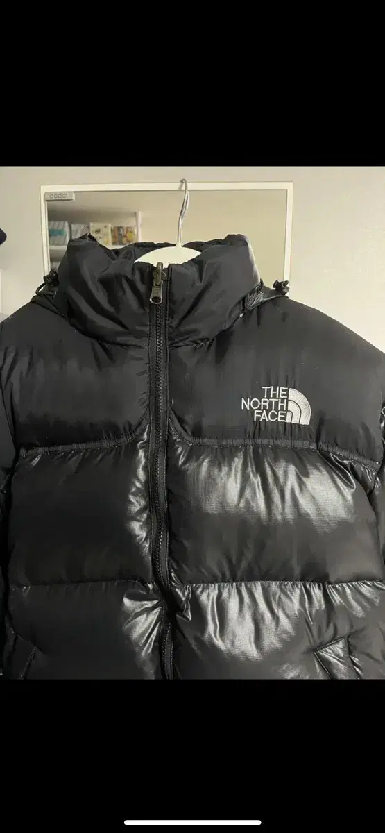 The North Face Nupsy Summit Series 900 LTD Large