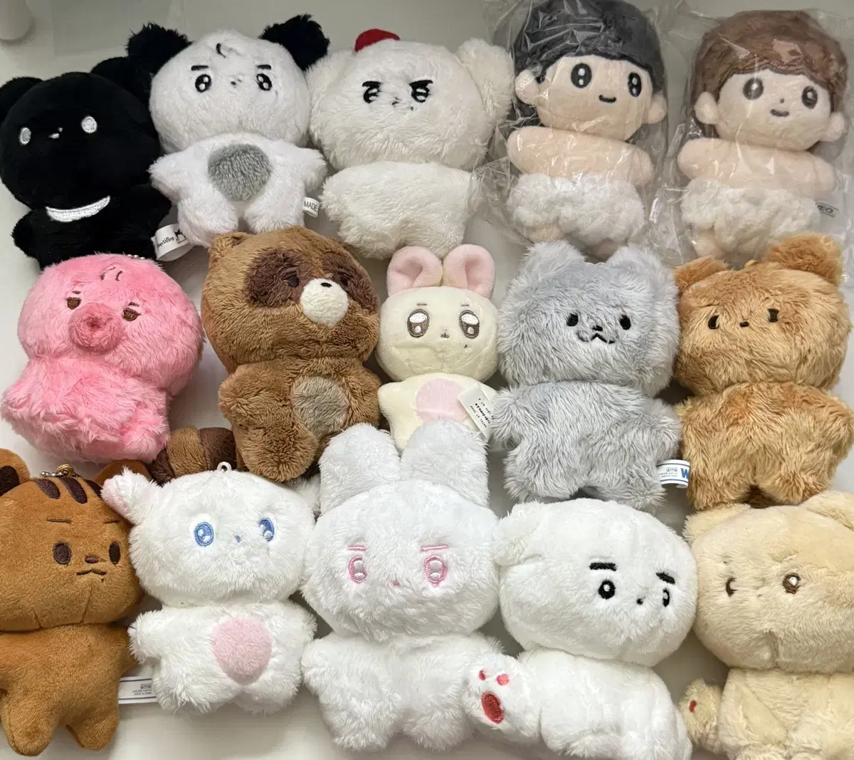 The Boyz doll wts 달곰 쥬냥 뽀빵 뽀째 설빵 떤코 체리티쥬 쪼구리