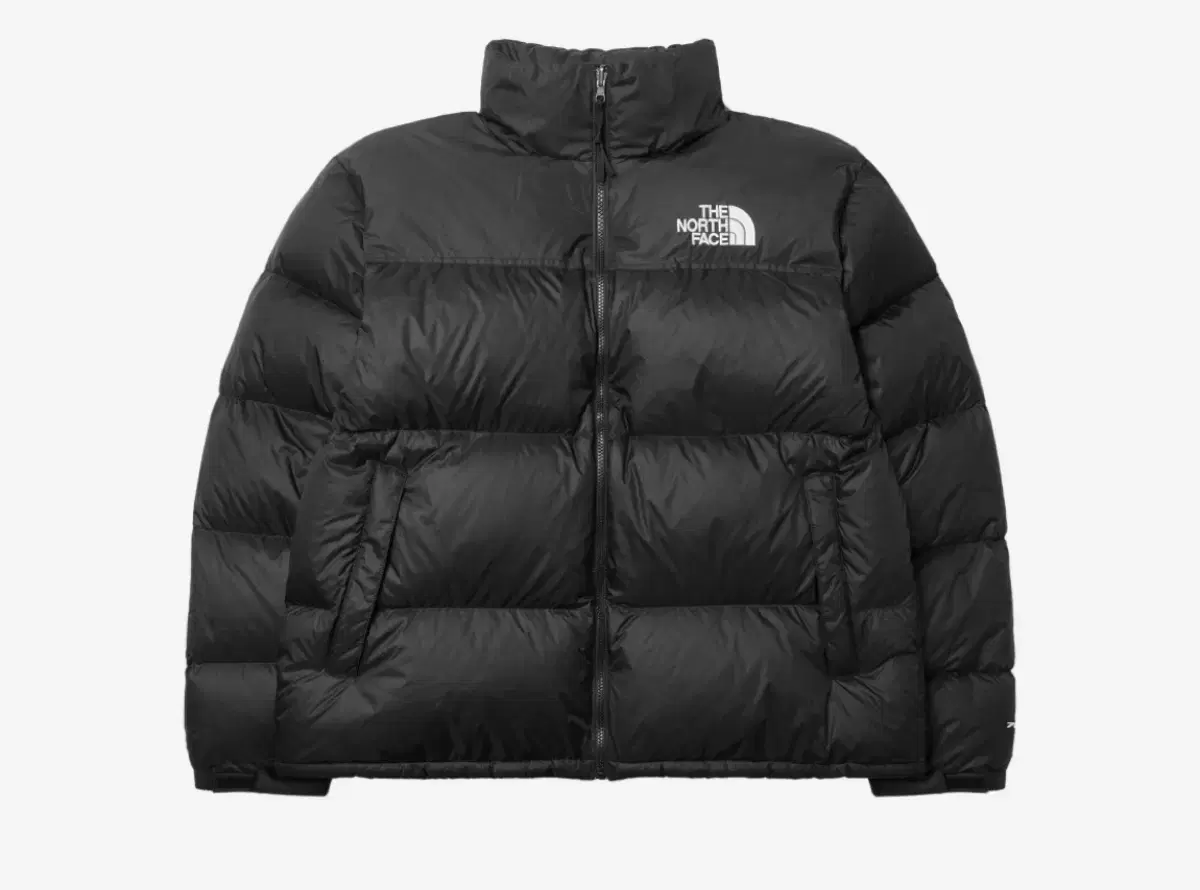 [L/M] The North Face 1996 Retro Noupsey Down Jacket TNF Black