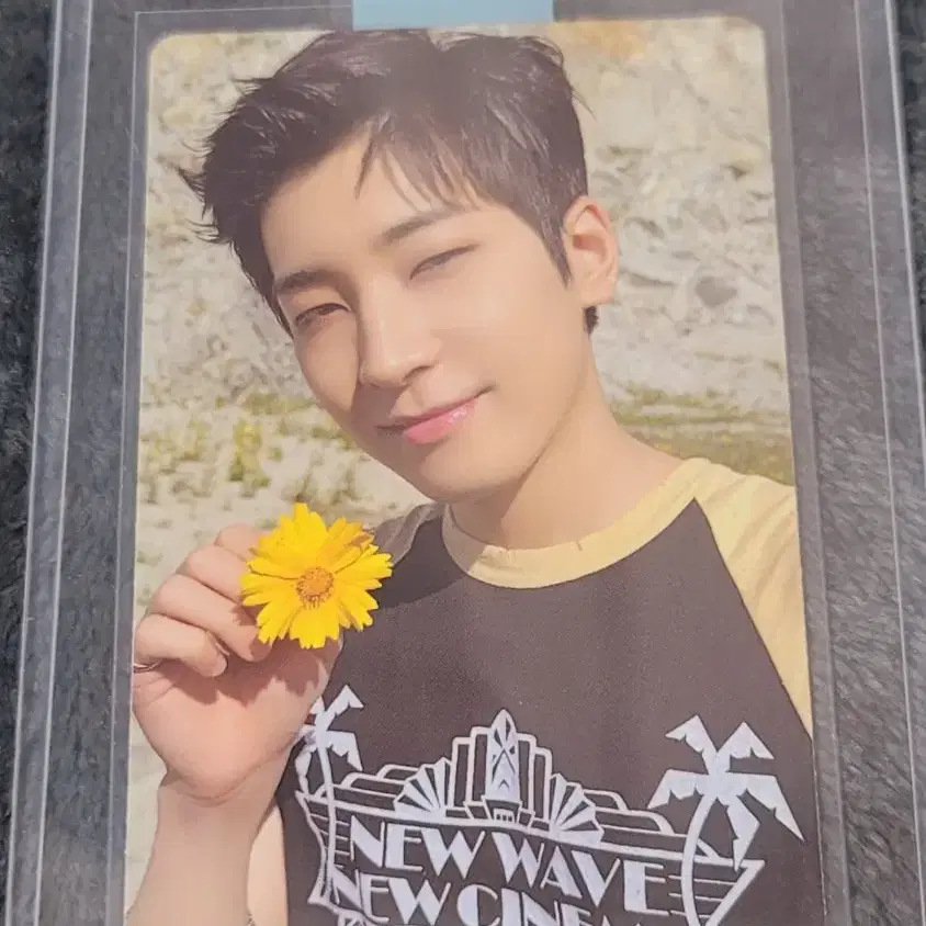 세븐틴 원우 포카 양도 팔로우 투 서울 투어 디지털코드 디코 DVD