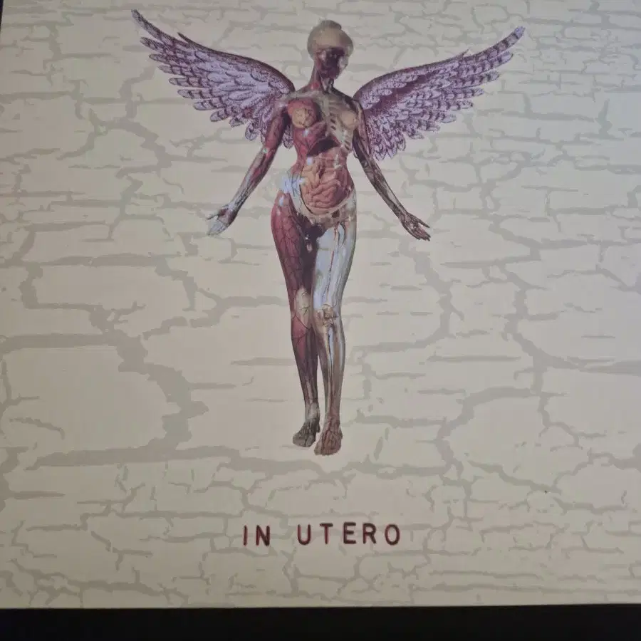 Nirvana(너바나) - In Utero 30주년 lp